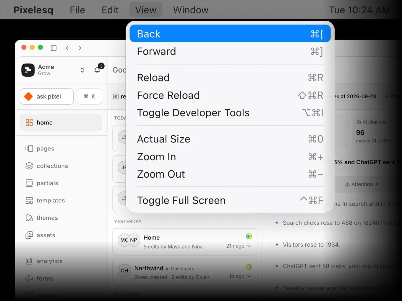 The Pixelesq View menu open, with Back, Forward, Reload and the zoom items